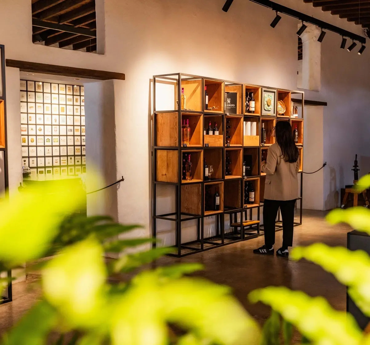Tienda de vinos de nuestra bodega en Lanzarote | Bodegas EL GRIFO