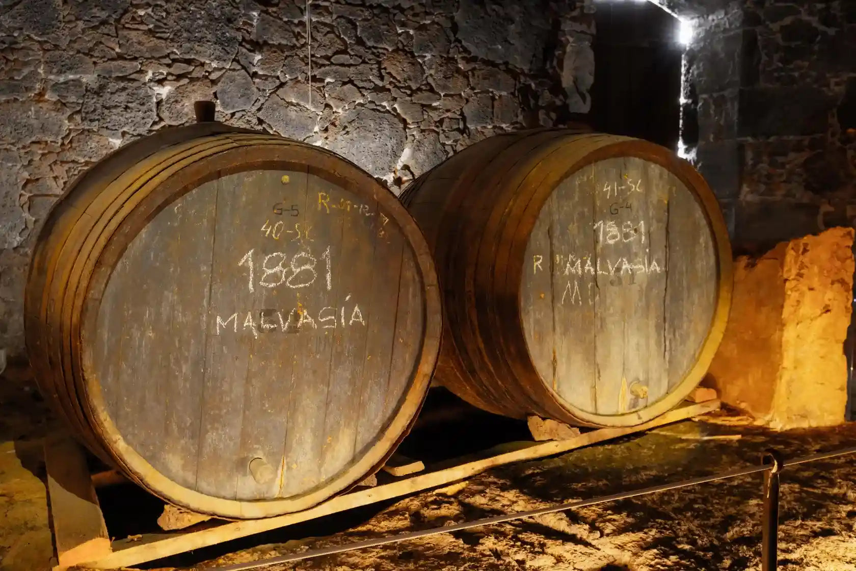 El museo EL GRIFO: una visita imprescindible para amantes del vino. Exclusive visit and wine tasting for wine lovers