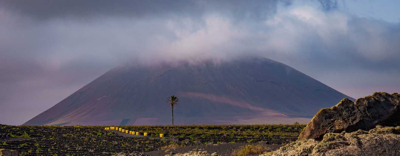 El Grifo viñedo de lo impossible | Lanzarote