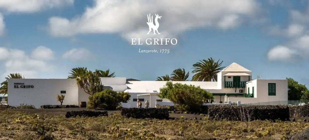 ENOTURISMO EN LANZAROTE: una joya única 1