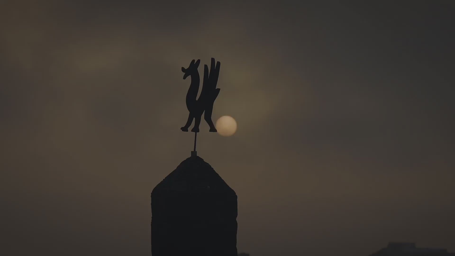 Vendimia Bodegas El Grifo | Vinos heroicos | THE VINEYARD OF THE IMPOSSIBLE