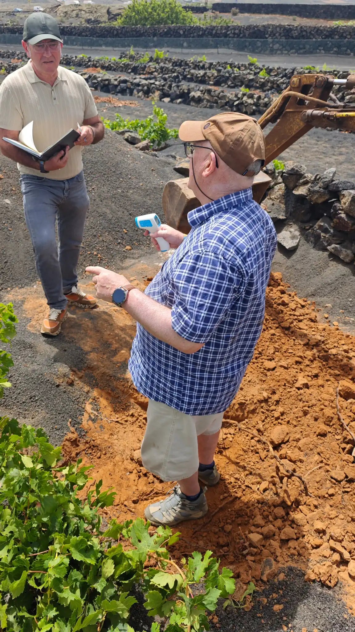 Suelo, Raíz y Clima: La base del futuro del Vino de Lanzarote