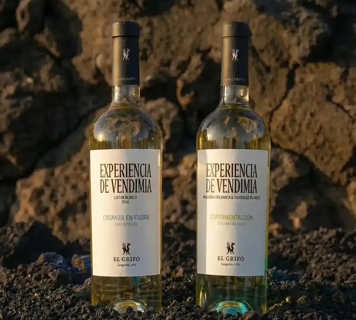 El Grifo Experiencias de Vendimia - Cofermentación y Fudre Lanzarote