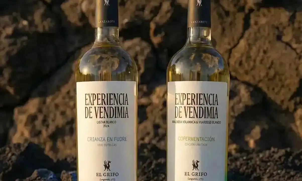 El Grifo Experiencias de Vendimia - Cofermentación y Fudre Lanzarote