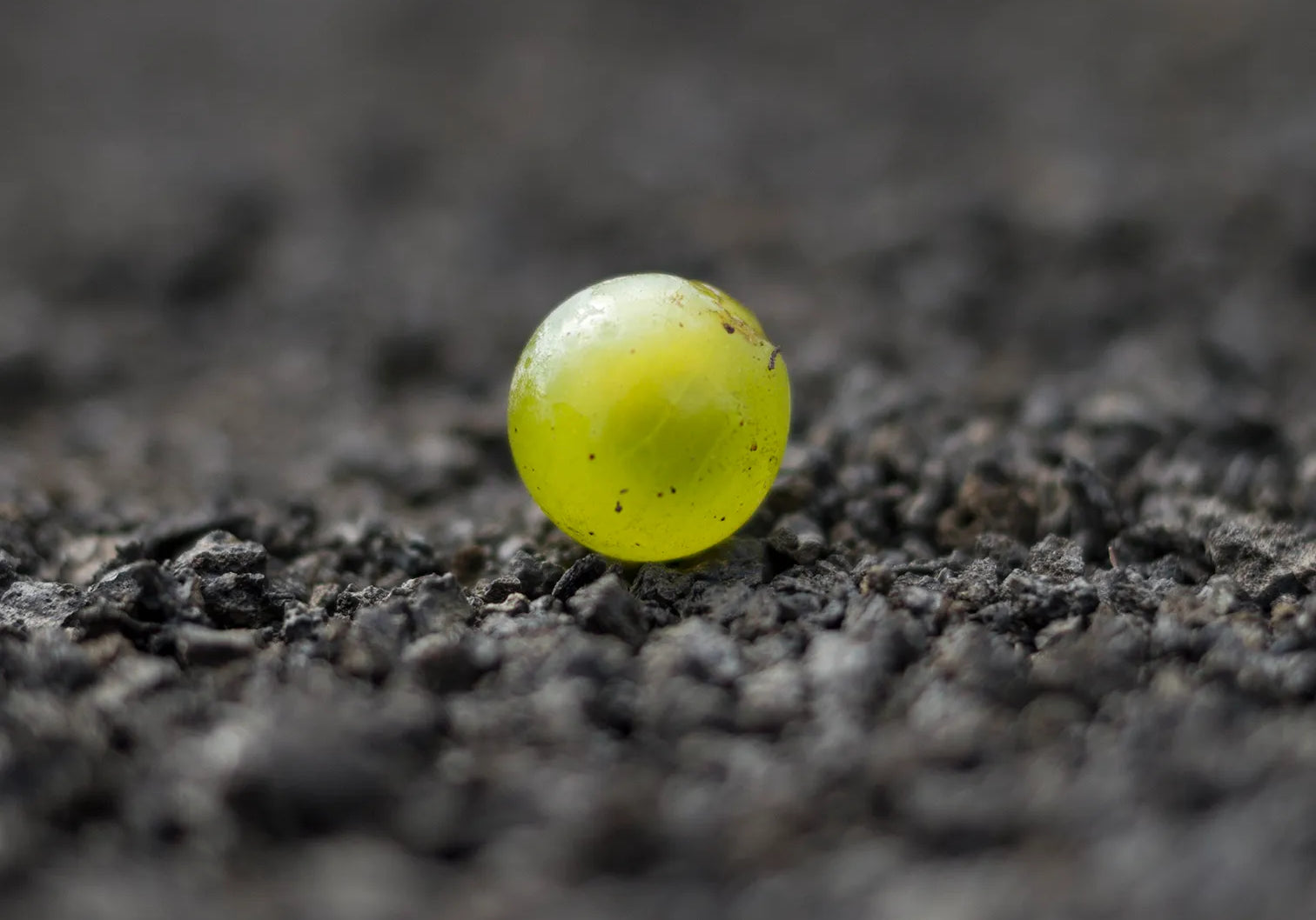 La Malvasía Atlántica-Malvasía Aromática. Dudas, errores y algunas certezas
