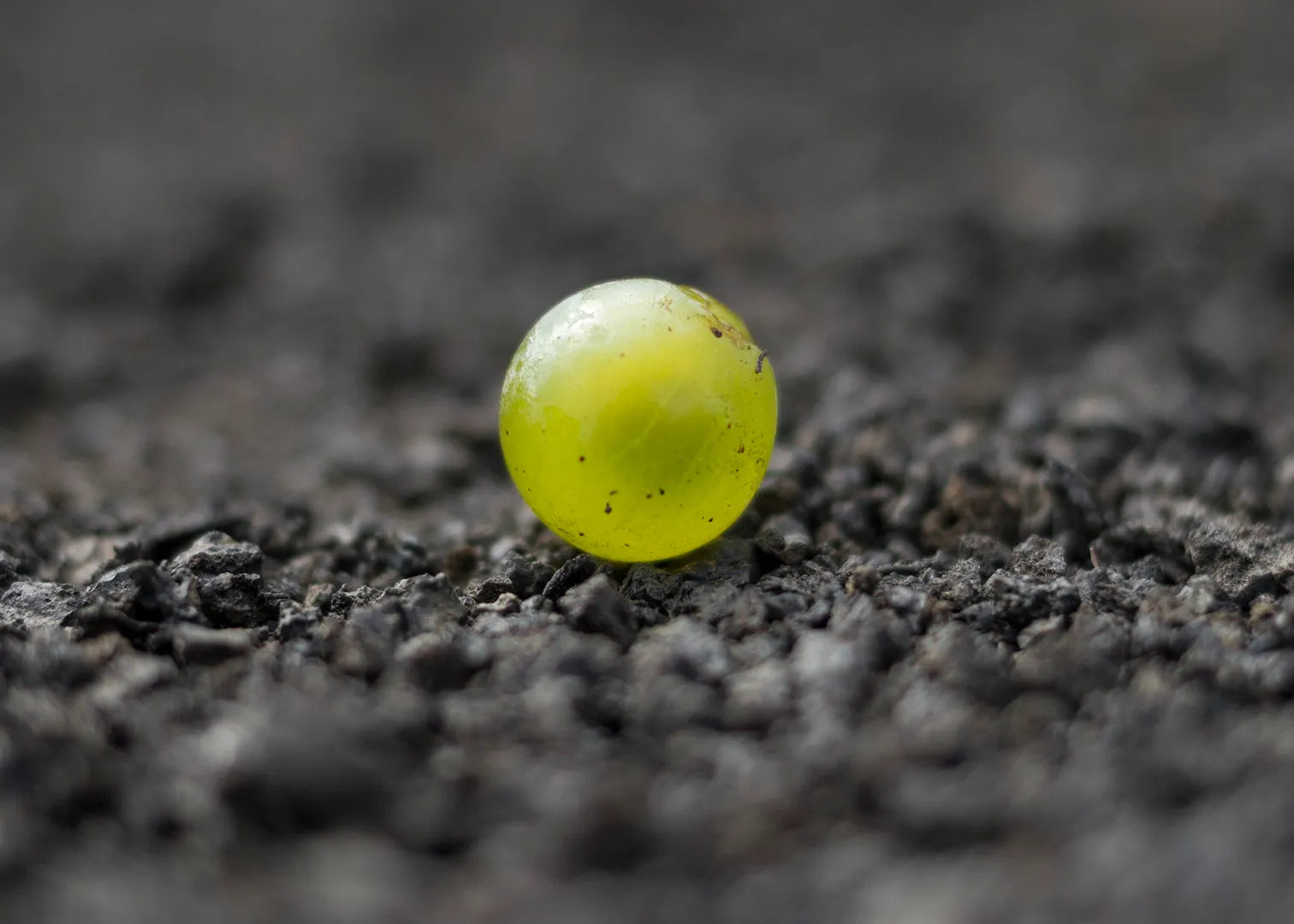 La Malvasía Atlántica-Malvasía Aromática. Dudas, errores y algunas certezas