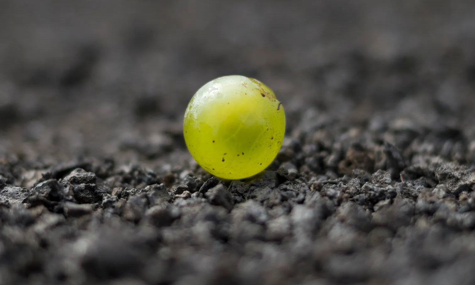 La Malvasía Atlántica-Malvasía Aromática. Dudas, errores y algunas certezas