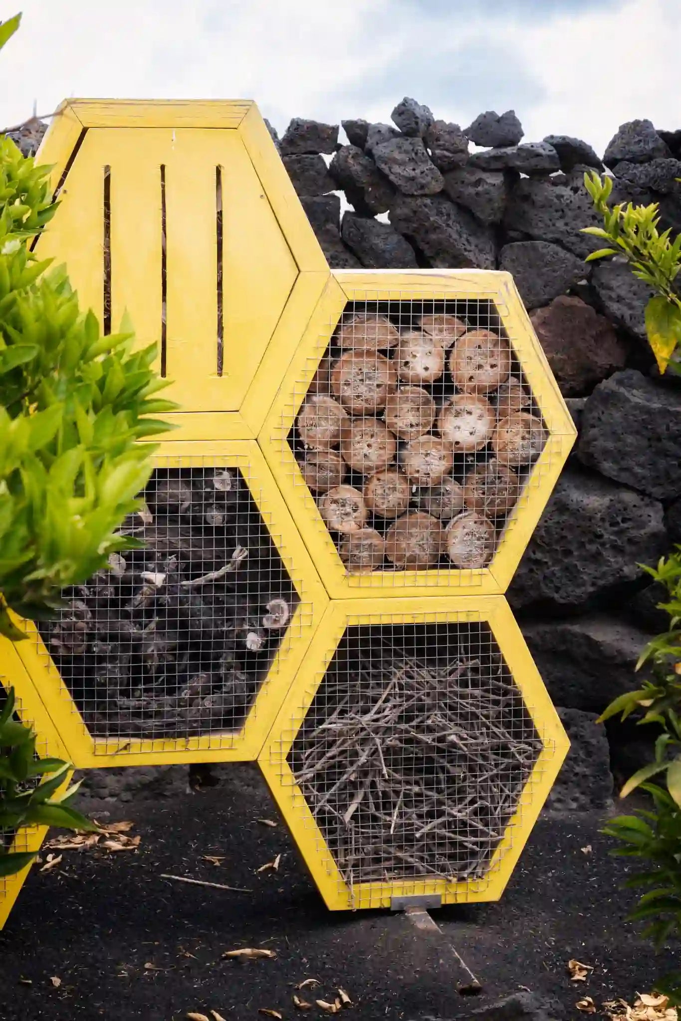 Hotel de insectos con estructura hexagonal amarilla, relleno de troncos, ramas y cañas, ubicado sobre suelo volcánico junto a un muro de piedra en un entorno natural.