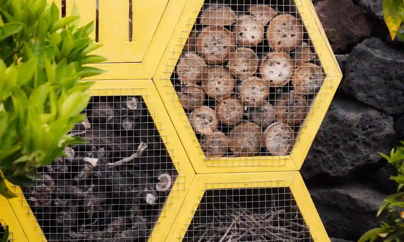 Hotel de insectos con estructura hexagonal amarilla, relleno de troncos, ramas y cañas, ubicado sobre suelo volcánico junto a un muro de piedra en un entorno natural.