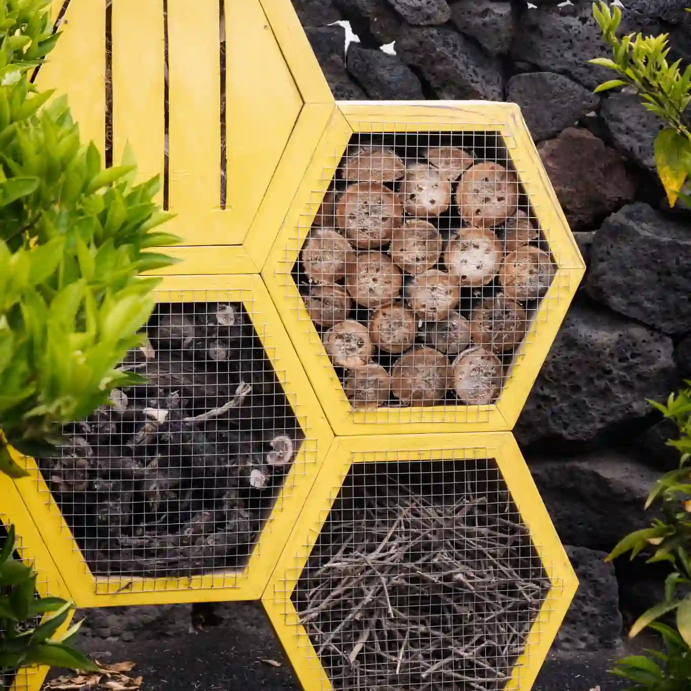 Hotel de insectos con estructura hexagonal amarilla, relleno de troncos, ramas y cañas, ubicado sobre suelo volcánico junto a un muro de piedra en un entorno natural.