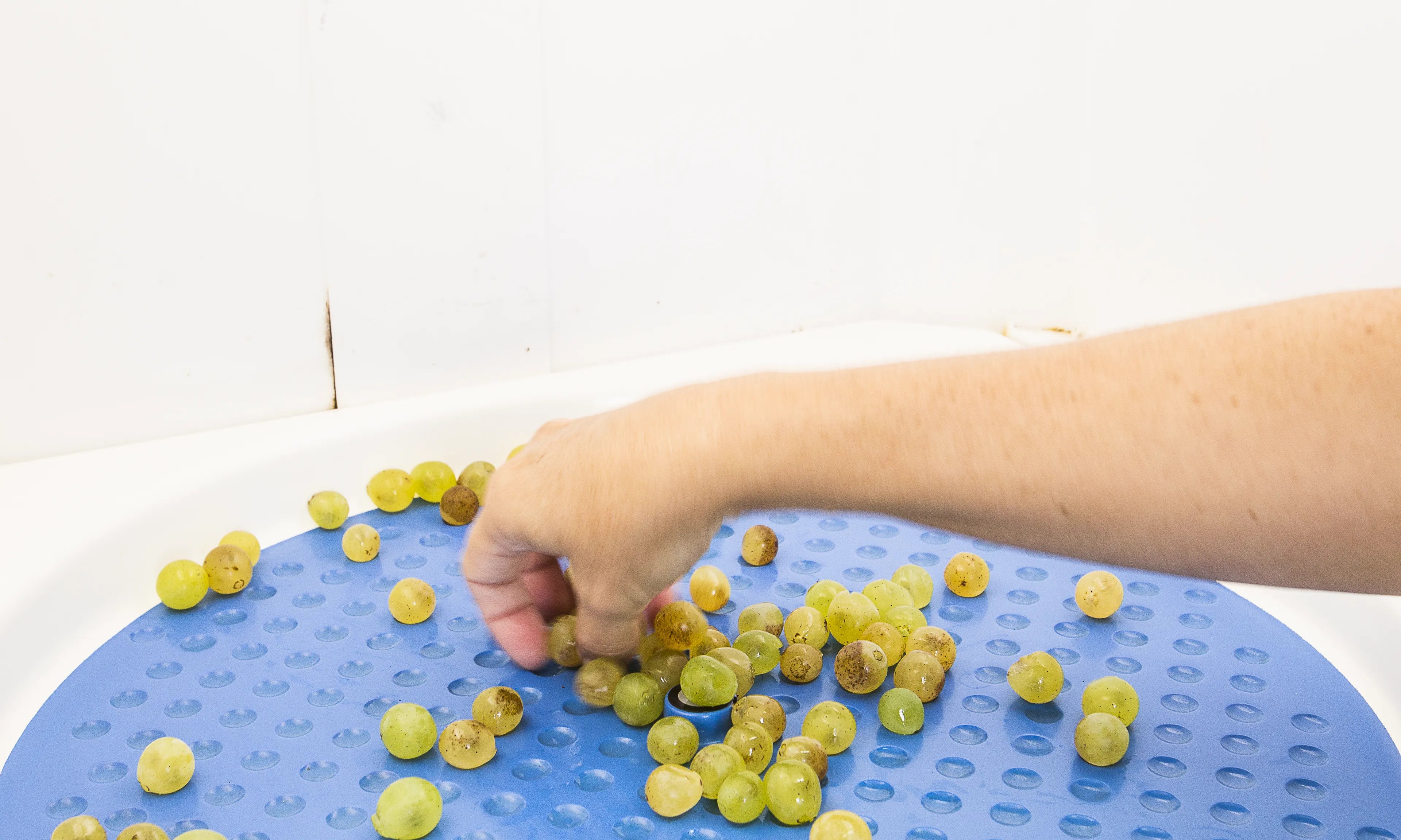 Analizando uvas