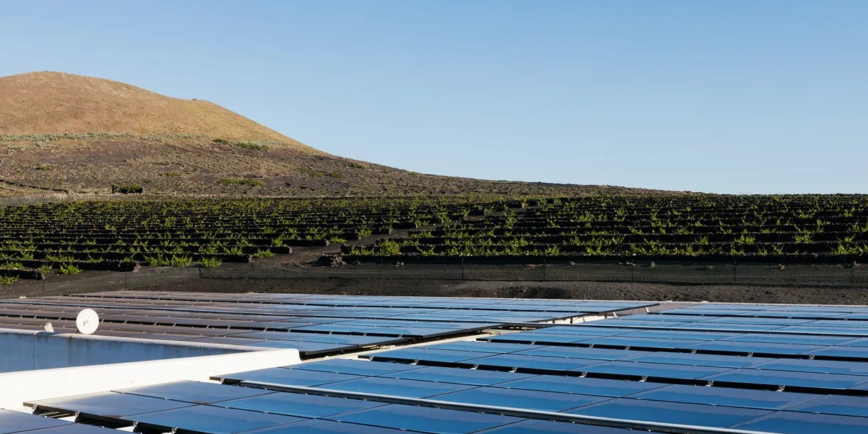 Energía limpia y recuperación de CO₂