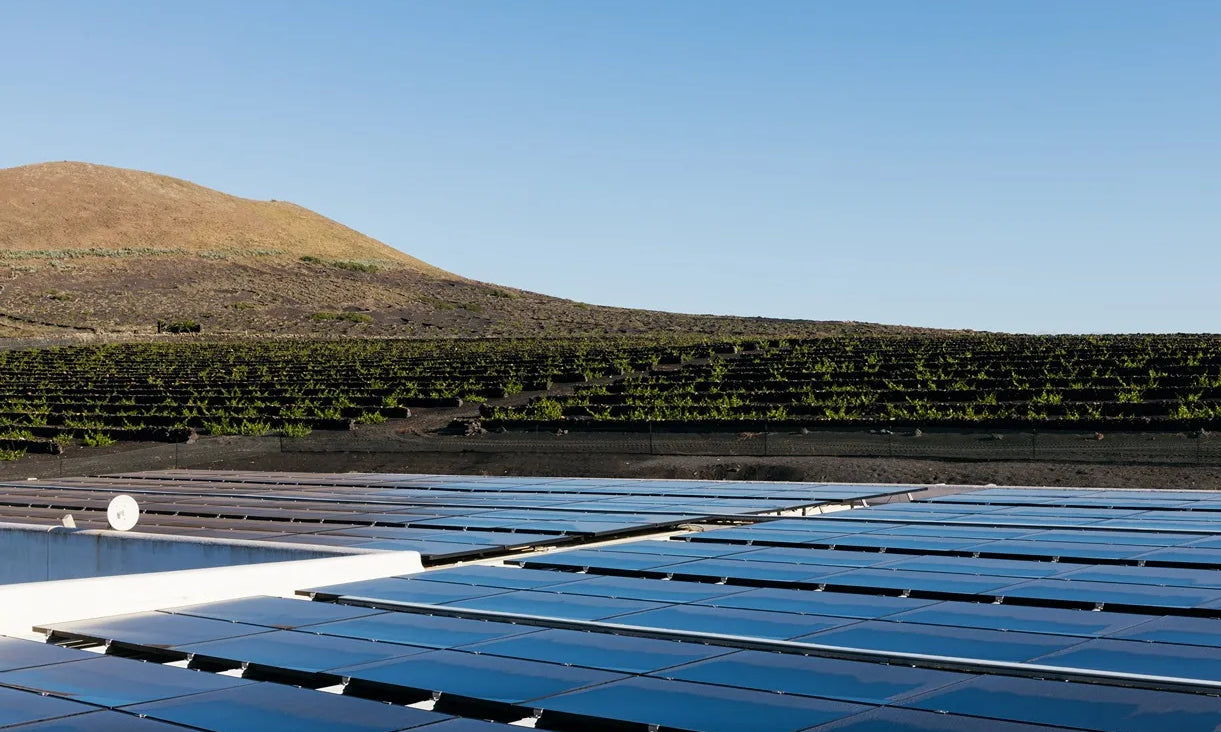 Energía limpia y recuperación de CO₂