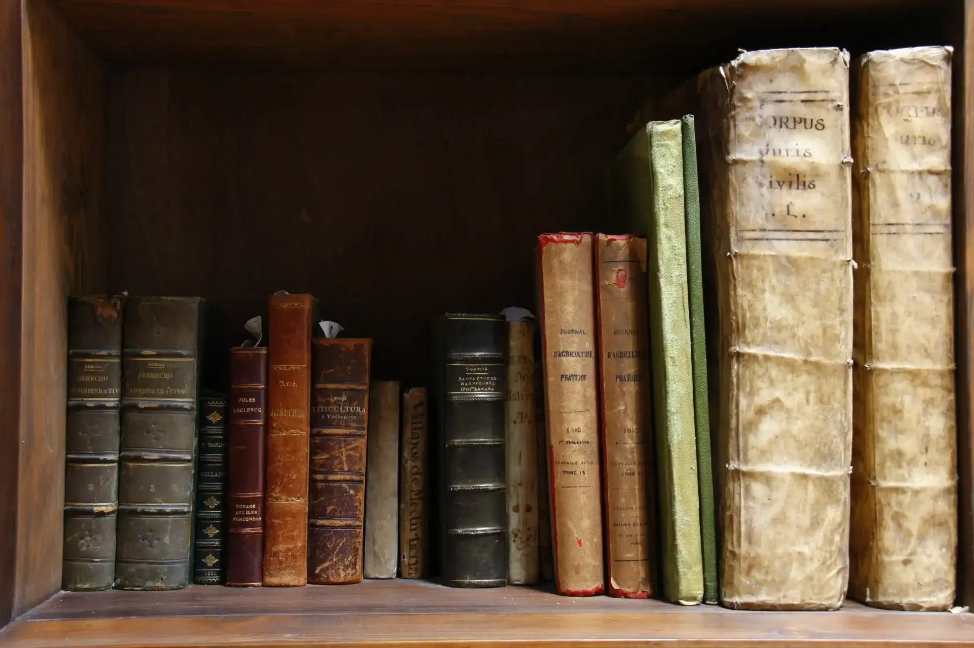 Biblioteca-EL-GRIFO-Lanzarote