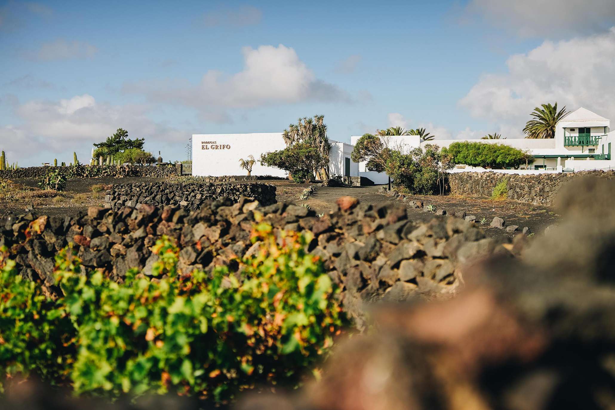 Bodega El Grifo Lanzarote 1775