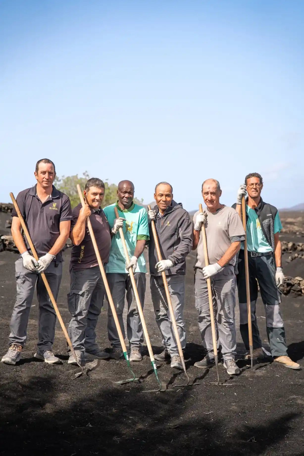 Equipo de campo posando con herramientas sobre el terreno volcánico  