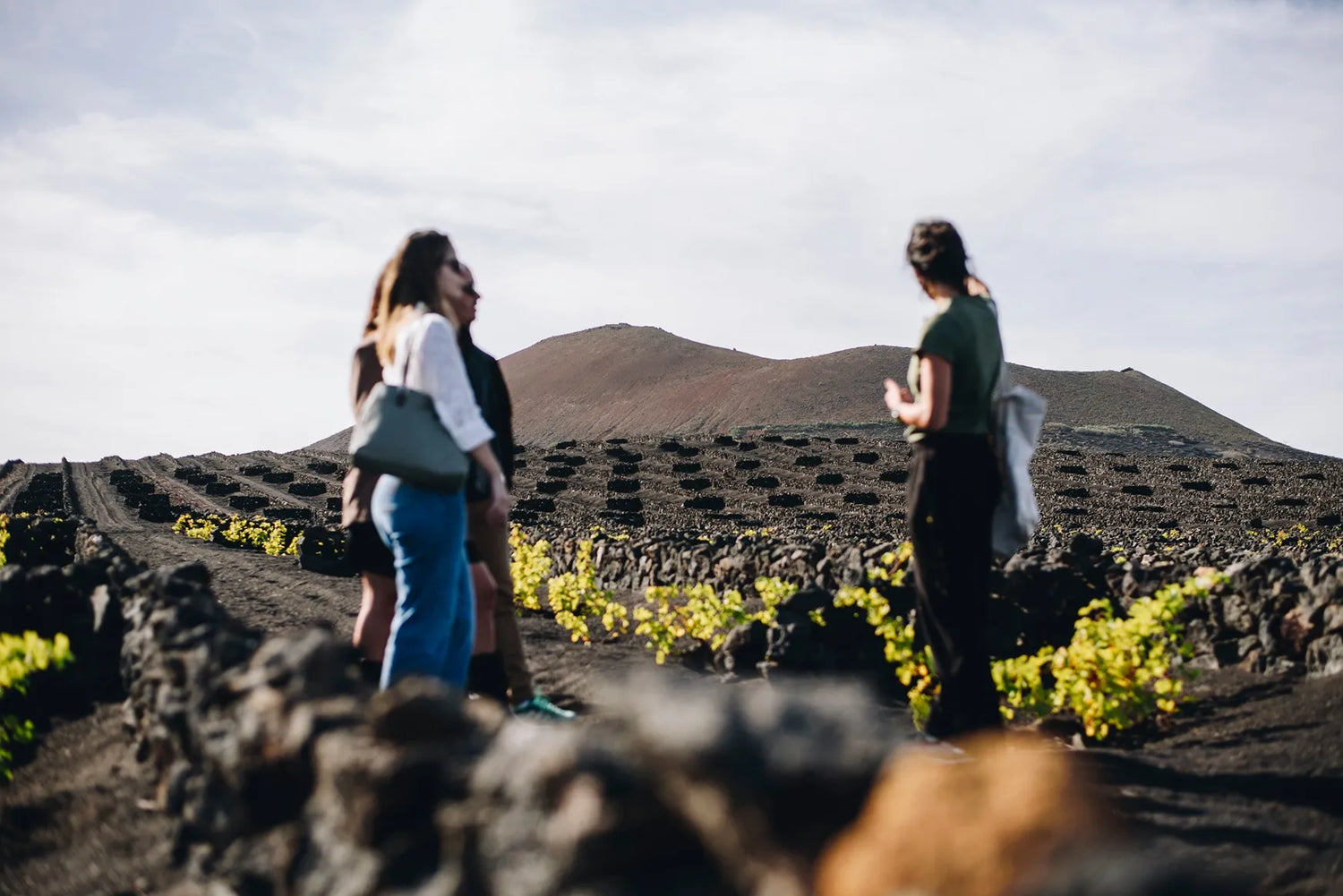 Visita Wine Lovers enoturismo Bodegas El Grifo Lanzarote. La Geria Bodega.