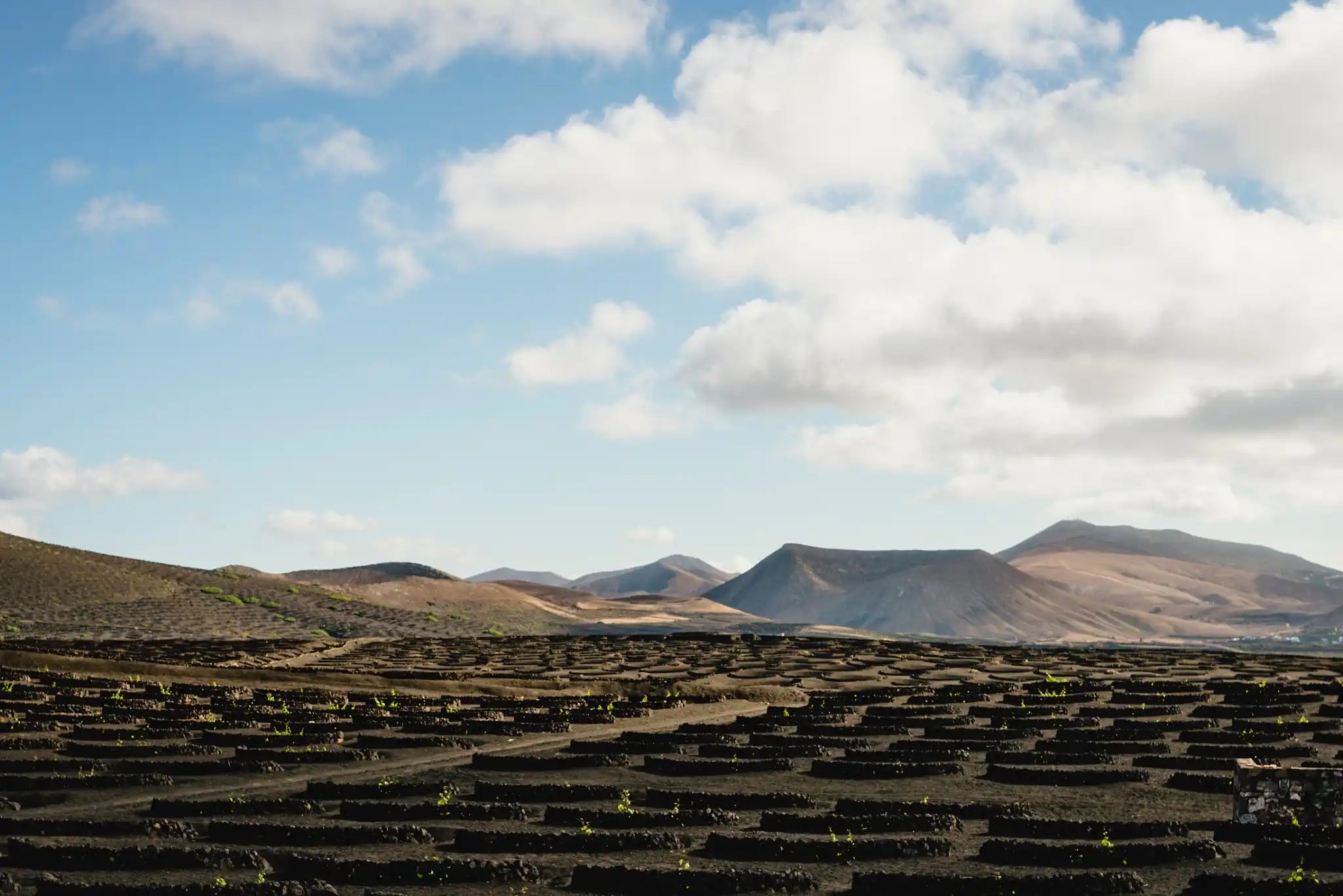 Paisaje volcánico de La Geria en Lanzarote, con viñedos plantados en hoyos de ceniza negra protegidos por muros de piedra, bajo un cielo azul con nubes dispersas