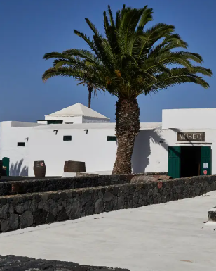 Museo del Vino El Grifo, el auténtico centro de interpretación de La Geria