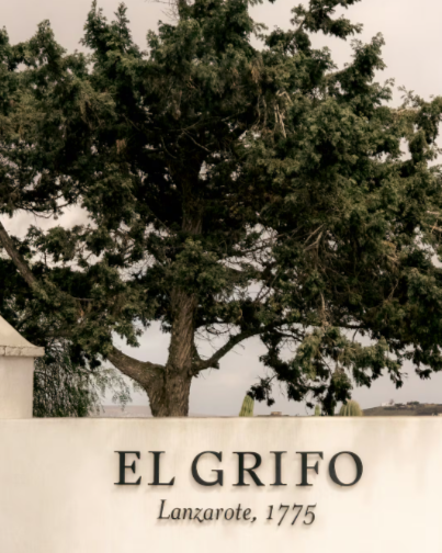 Cómo una de las bodegas más antiguas de España salva sus viñedos de la sequía