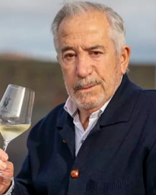 Entrevista a Juan José Otamendi, el futuro de El Grifo y la viticultura actual