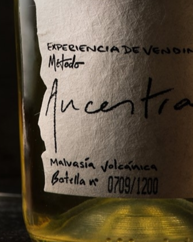 Ancestral El Grifo, el espumoso 100% malvasía volcánica definido por la tipicidad de un viñedo de cuarenta años