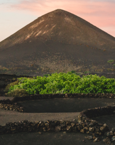Lanzarote, un paisaje único con un producto singular