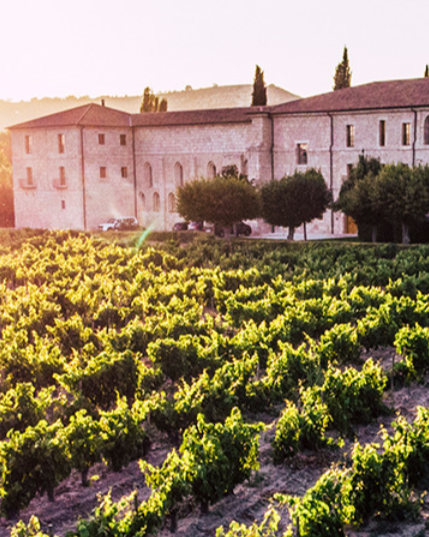 EXPERIENCIAS DE LUJO POR CUATRO BODEGAS ESPAÑOLAS