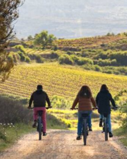 España, suspenso en enoturismo