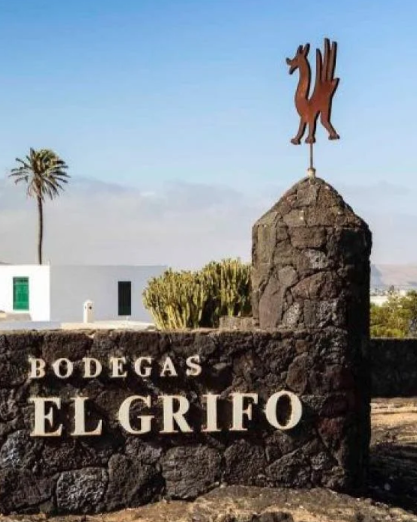 El Grifo, viñas ecológicas al completo en 2025