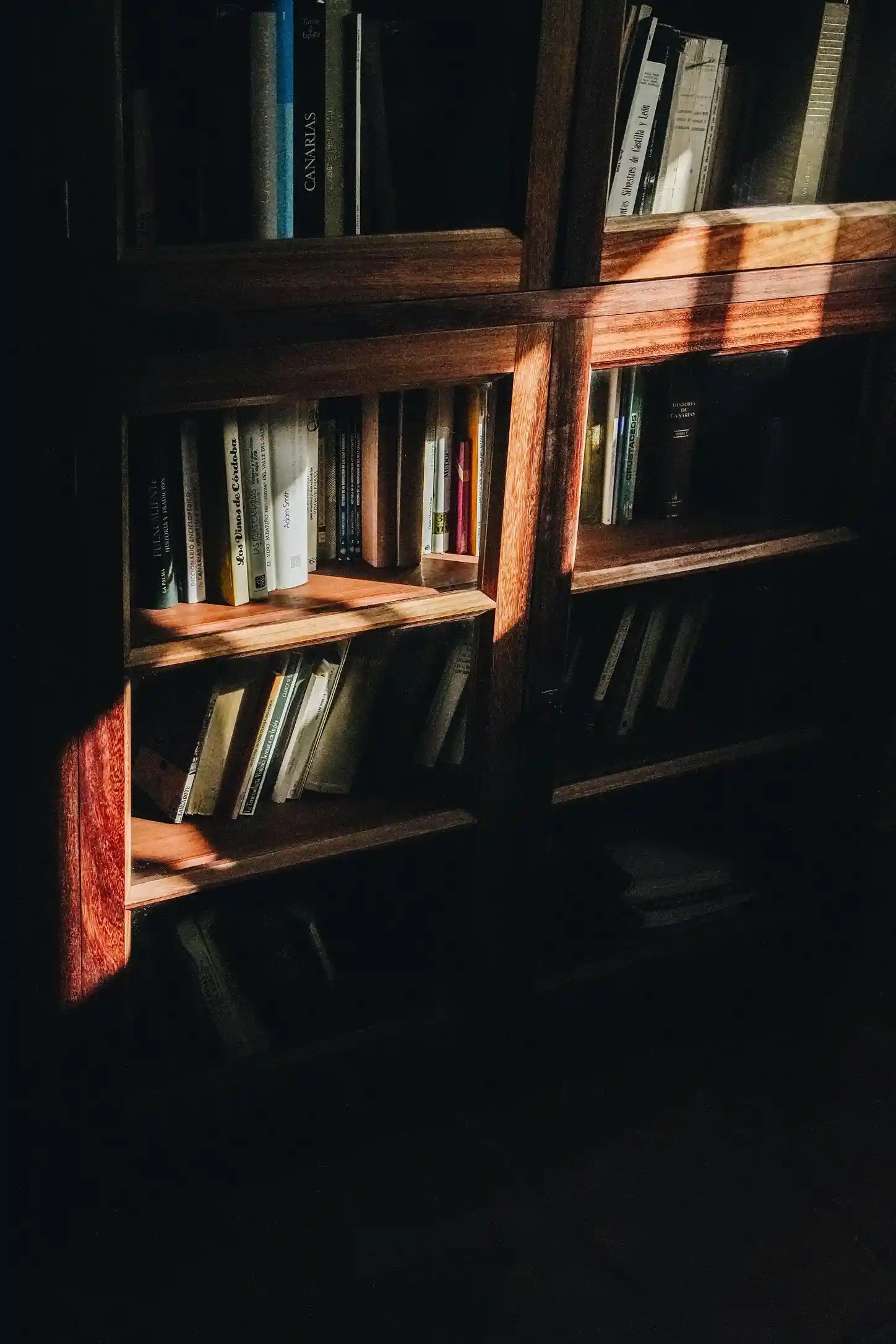 Bodegas El Grifo Lanzarote. La biblioteca, inaugurada por José Hierro y más tarde confirmada por el premio Nobel de literatura José Saramago