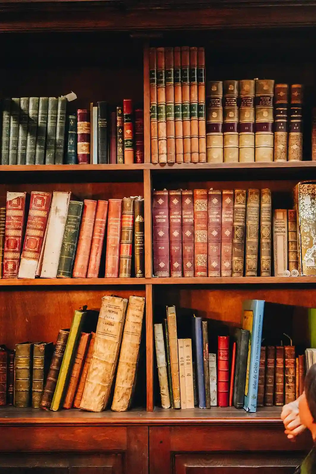 Bodegas El Grifo Lanzarote. La biblioteca, inaugurada por José Hierro y más tarde confirmada por el premio Nobel de literatura José Saramago