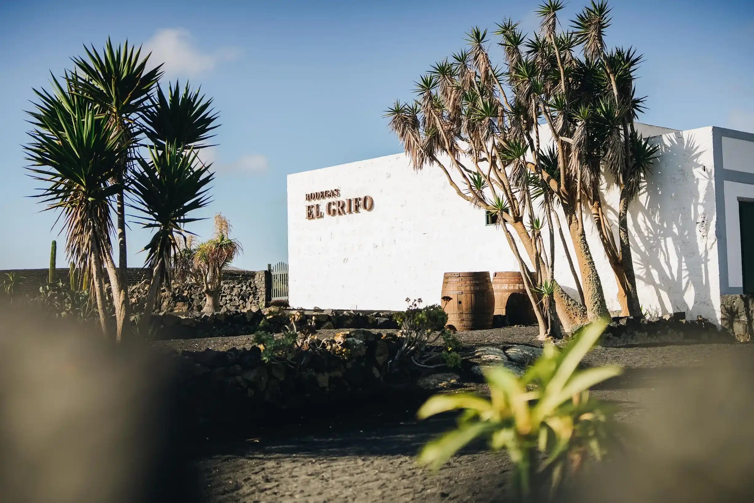 Bodegas El Grifo Lanzarote 1775