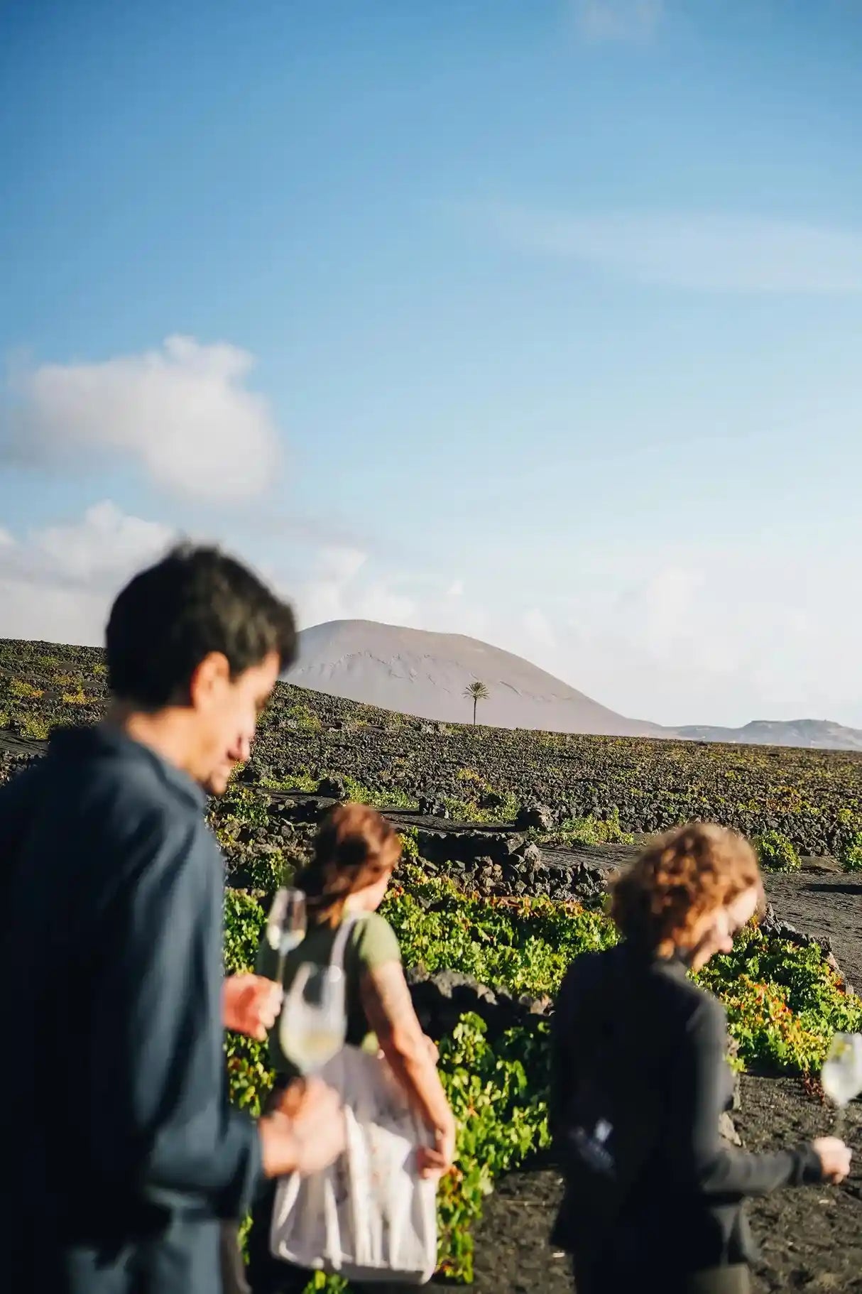 Experiencia Wine Lovers Enoturismo El Grifo Lanzarote
