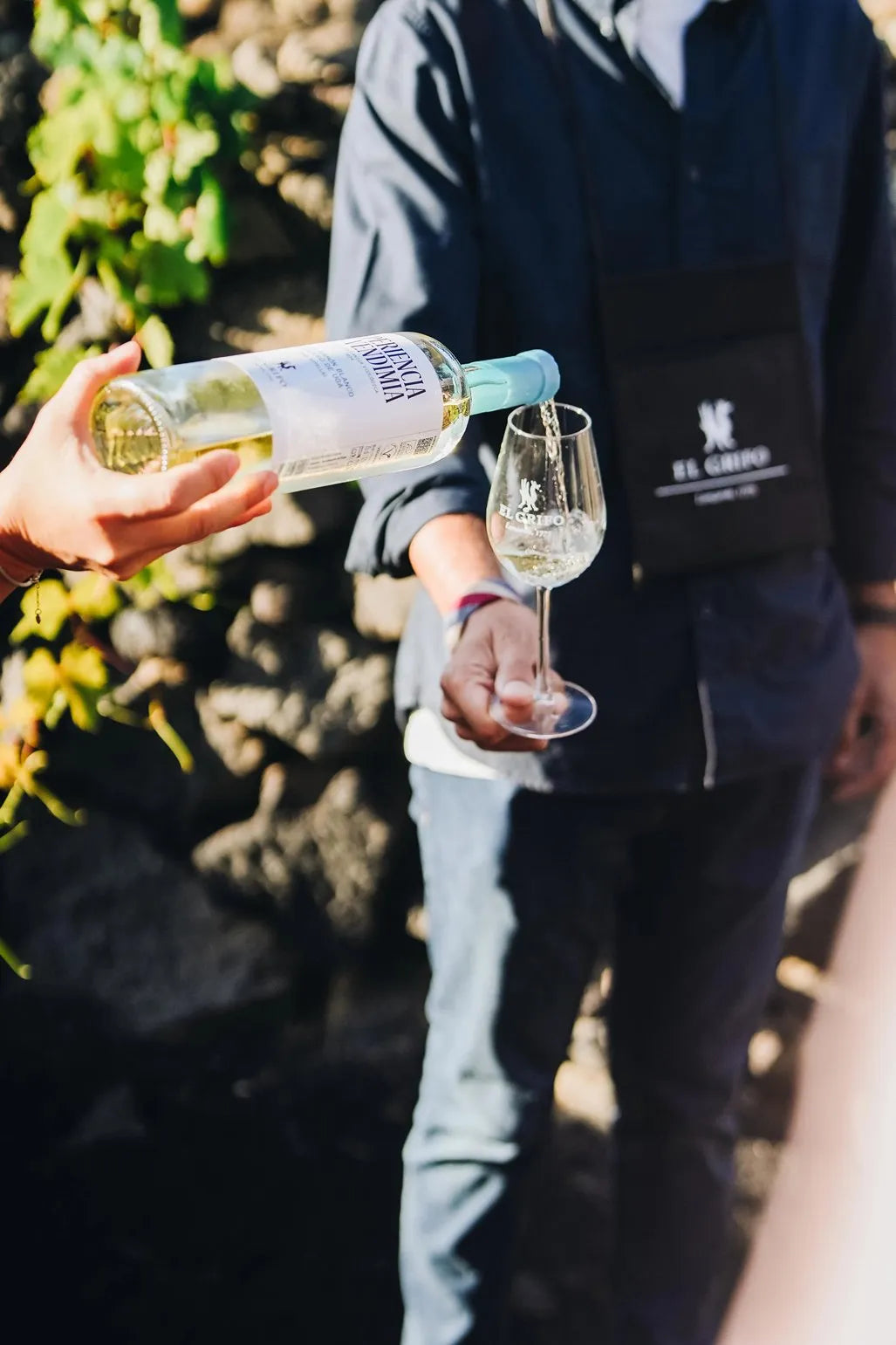 Experiencia Wine Lovers Enoturismo El Grifo Lanzarote