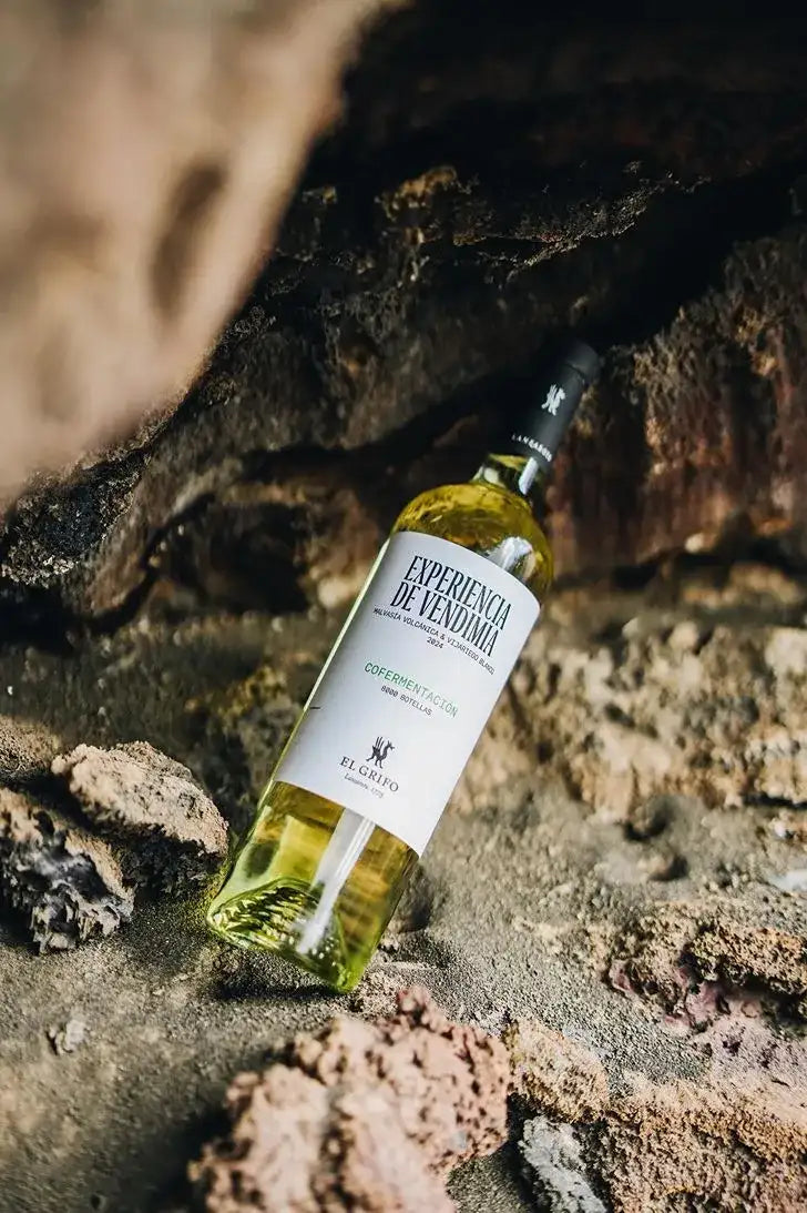 Experiencia de Vendimia Cofermentación EL GRIFO Lanzarote