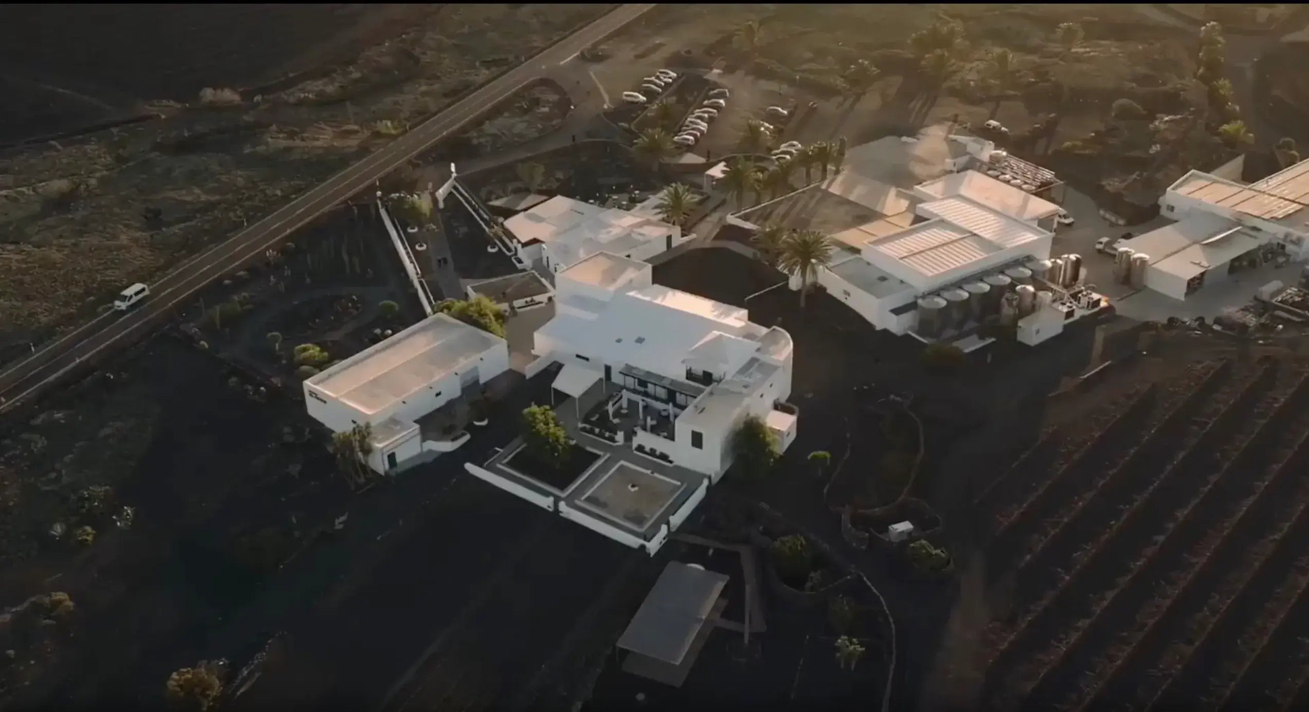 Experiencia de enoturismo visita privada El Grifo Lanzarote