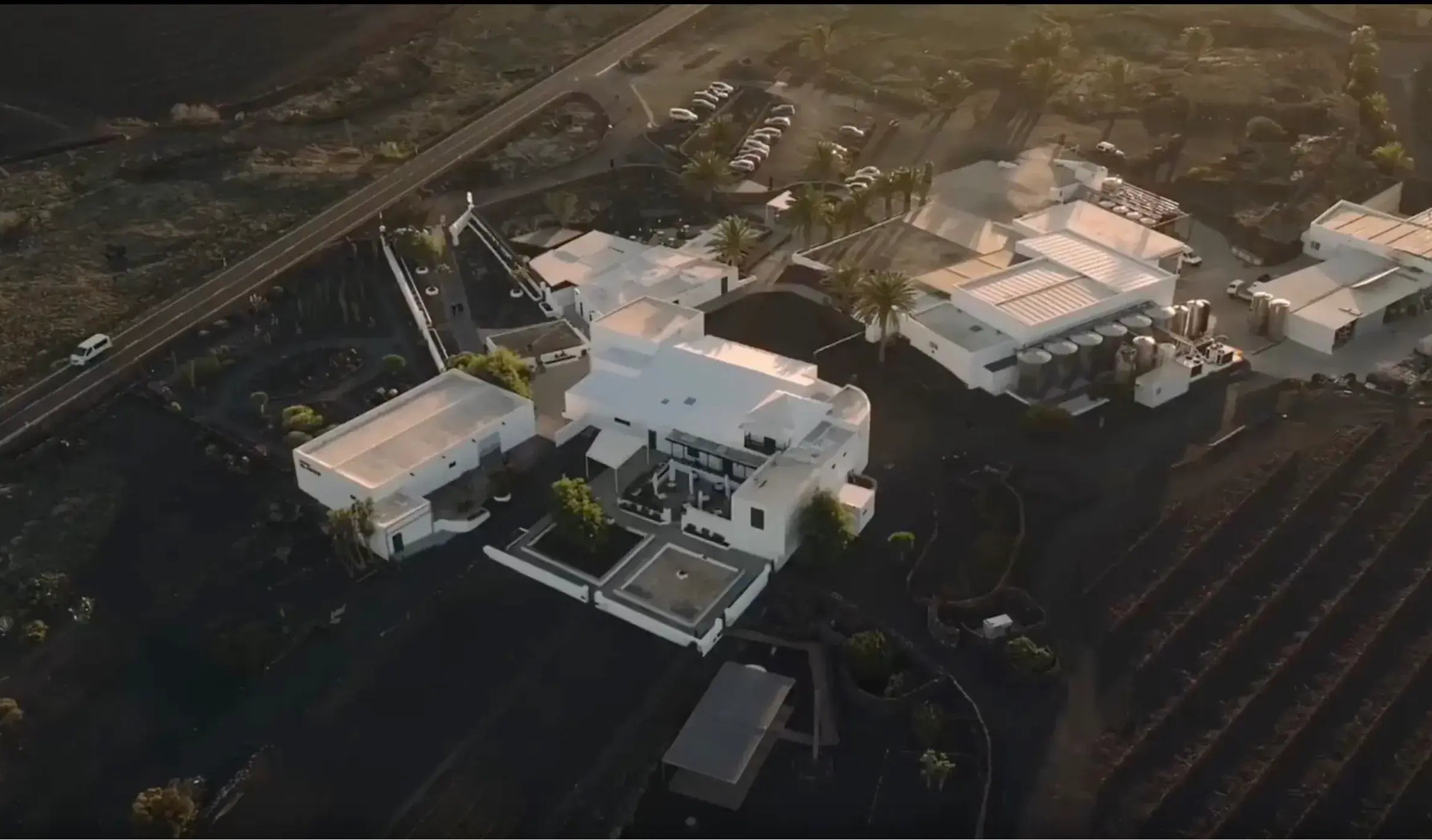 Experiencia de enoturismo visita privada El Grifo Lanzarote