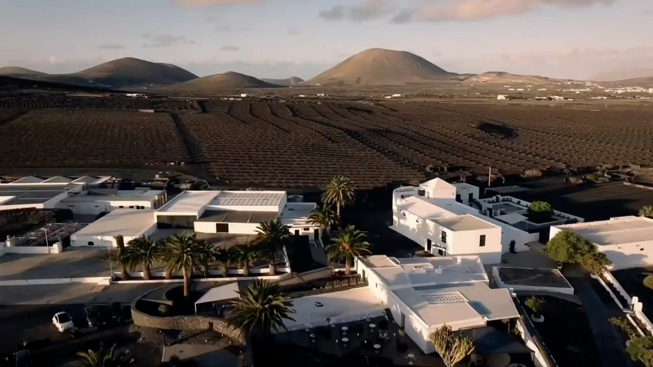 Bodegas El Grifo Lanzarote 1775 | Experiencias de enoturismo | Wine tourism | La Geria