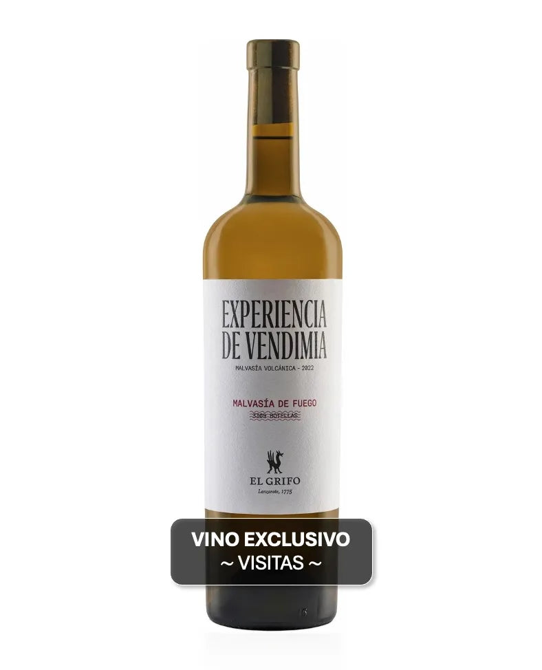 El Grifo Malvasía de Fuego Experiencia de vendimia exclusiva para visitantes a la bodega