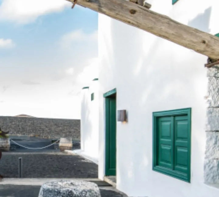 museo Lanzarote | Museo del vino Bodegas El Grifo