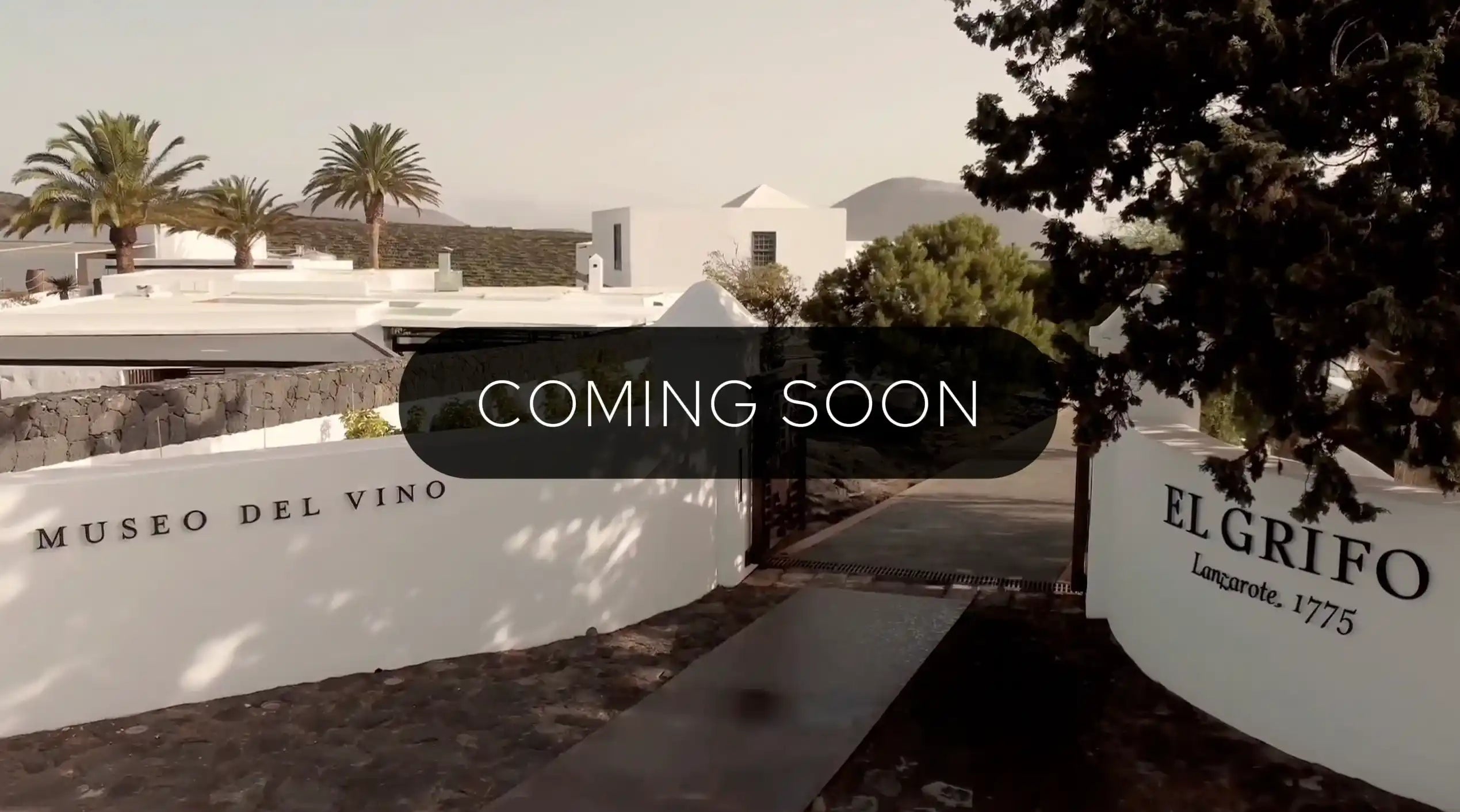 Nueva experiencia de enoturismo Bodegas El Grifo Lanzarote