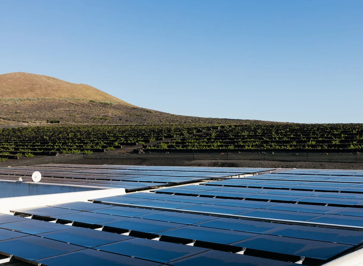 Instalación de placas fotovoltaicas en la bodega el grifo Lanzarote sostenibilidad