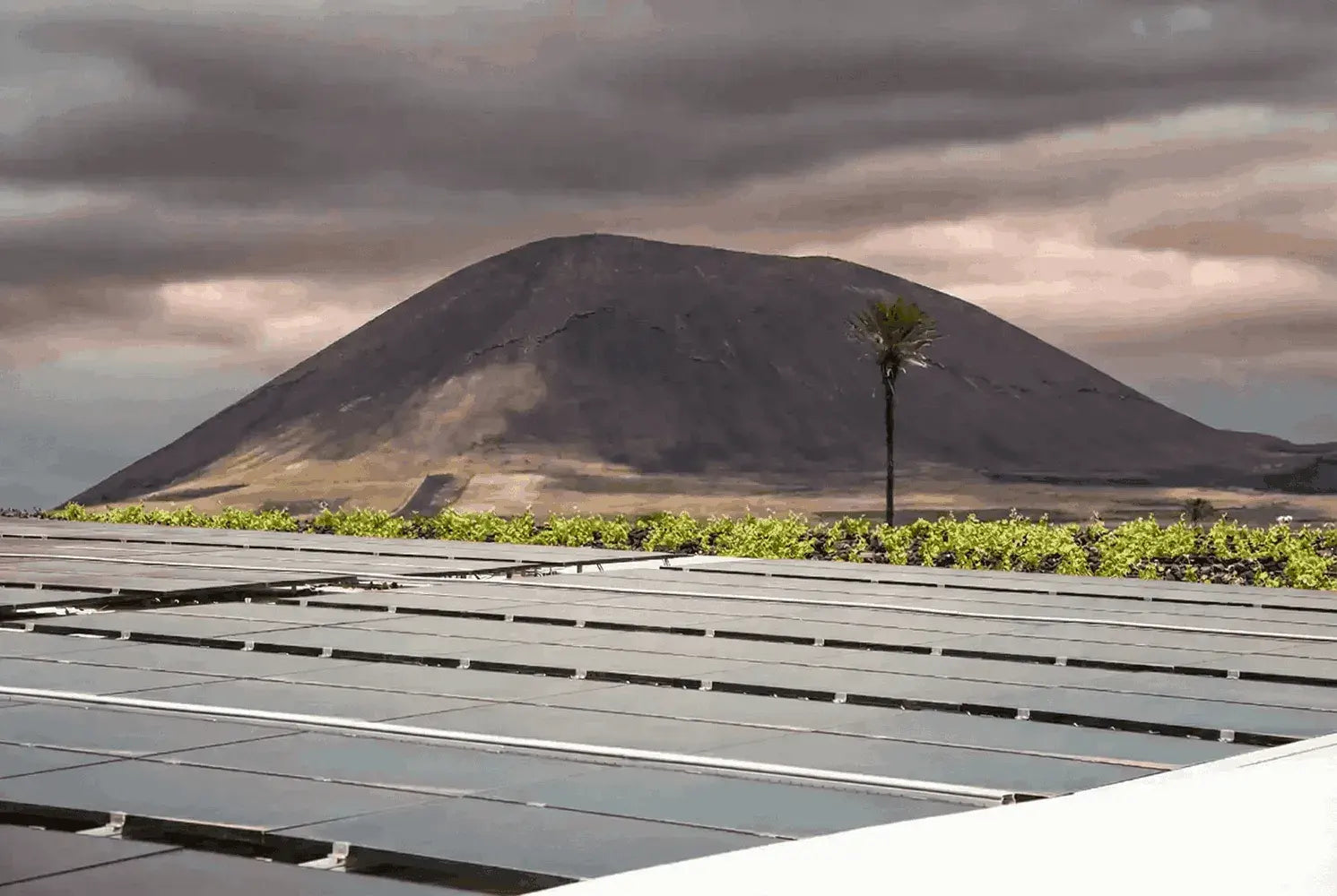 Instalación de placas fotovoltaicas en la bodega el grifo Lanzarote sostenibilidad