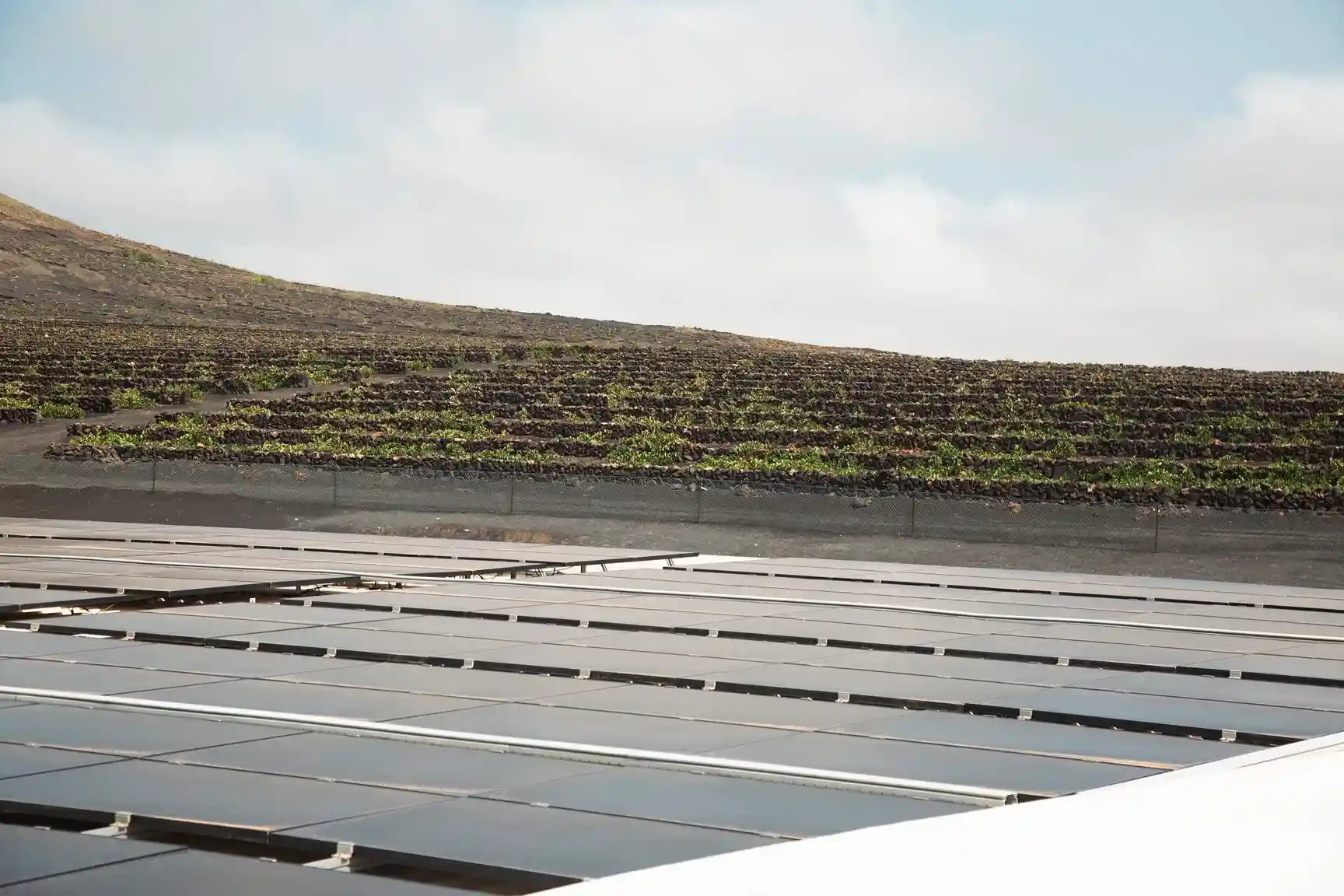 Instalación de placas fotovoltaicas en la bodega el grifo Lanzarote sostenibilidad