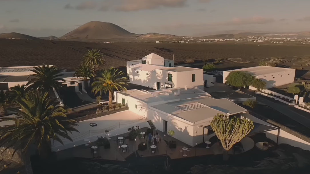 Bodegas El Grifo Lanzarote 1775 | La Geria | El viñedo de lo imposible | Enoturismo en Lanzarote | Wine tourism
