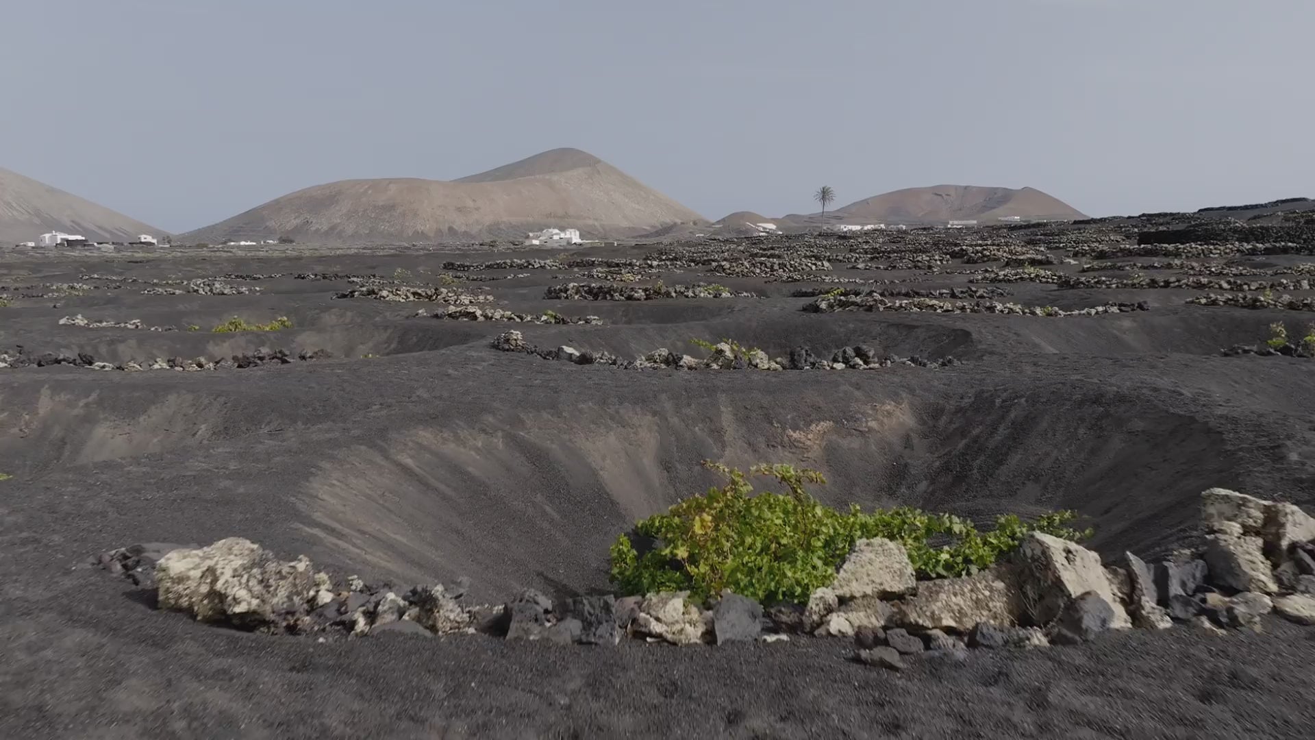 Wine Tour senderismo entre volcanes con cata de vino