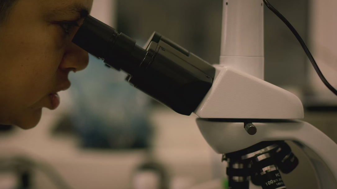 Investigación y desarrollo I+D+I Bodegas el Grifo Lanzarote