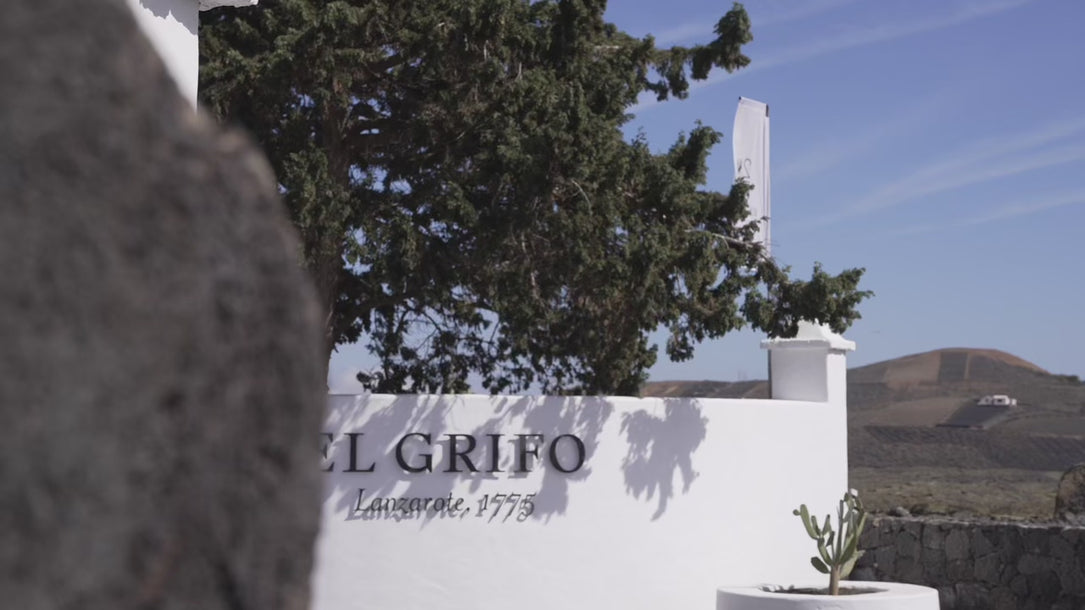 Contact and opening hours | Bodegas El Grifo Lanzarote