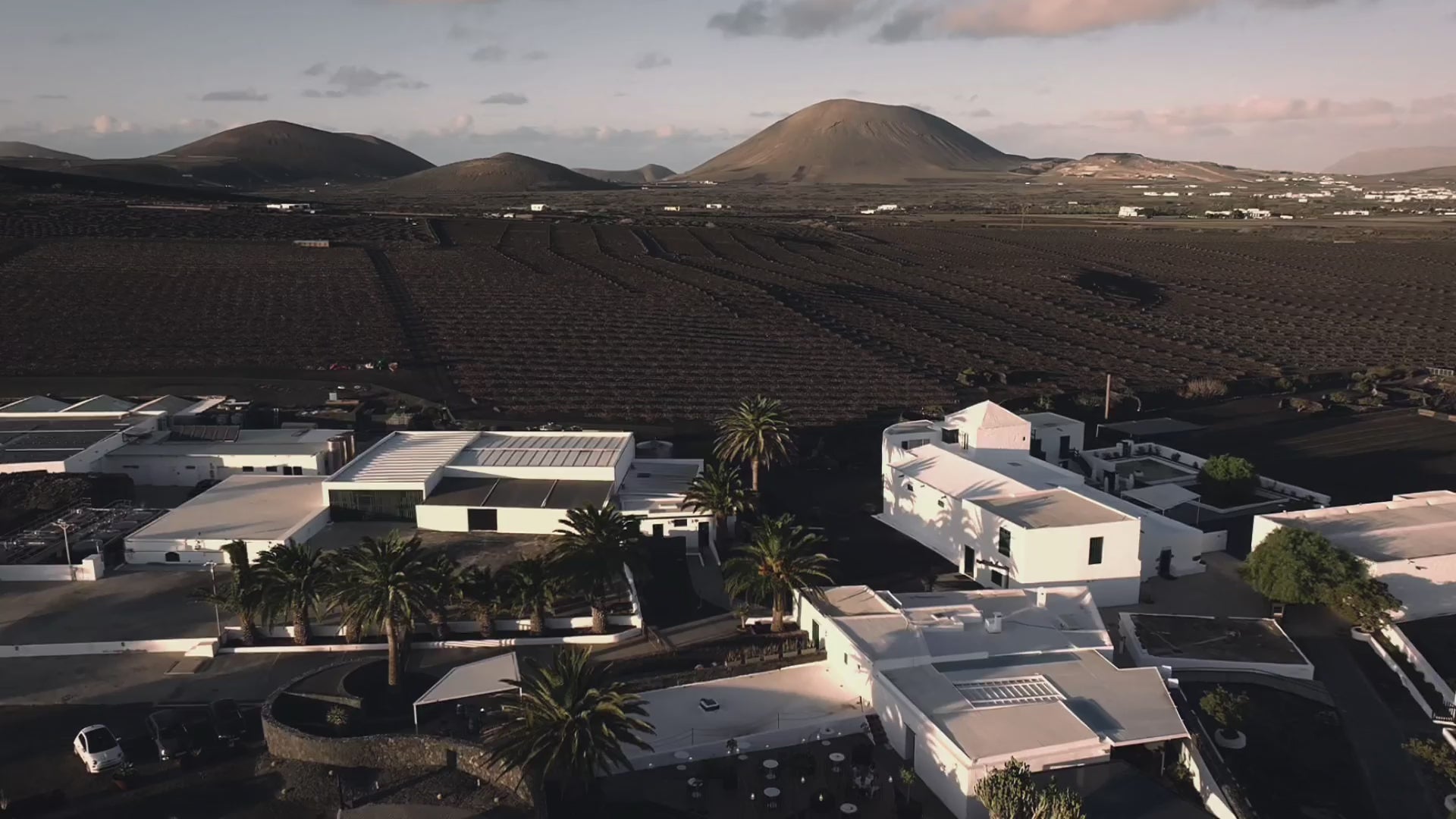 El Grifo Lanzarote 1775 Wine Tourism Wine taste Wines of Lanzarote Winery in Lanzarote | Bodega Lanzarote